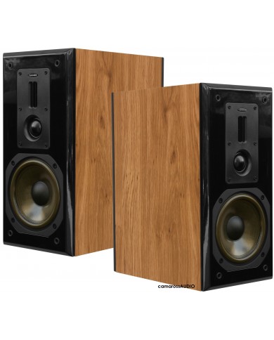 Dynavoice Definition DM-6