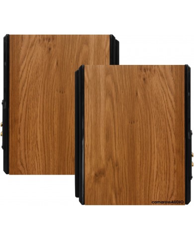 Dynavoice Definition DM-6