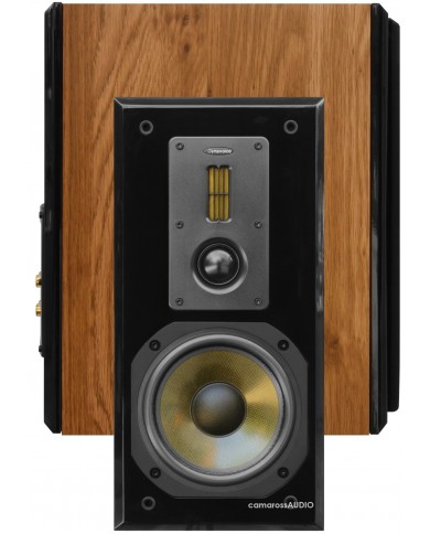 Dynavoice Definition DM-6