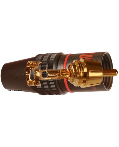 Supra RCA-6 Plug Supra RCA-6 Plug