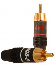 Supra RCA-6 Plug