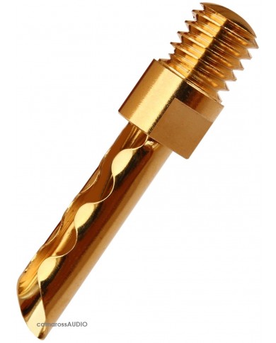 Supra CombiCon Banana Supra CombiCon Banana