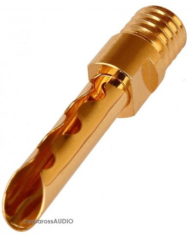 Supra CombiCon Banana Supra CombiCon Banana