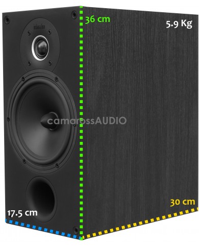 Indiana Line Tesi 260 N Size