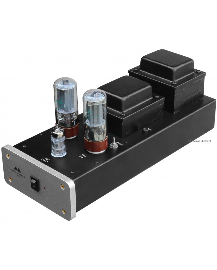 Antique Sound Lab AV-25 Monoblok Power Amplifier