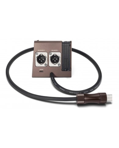 Astell&Kern AK380 Docking Stand PEM13 Astell&Kern AK380 Docking Stand PEM13