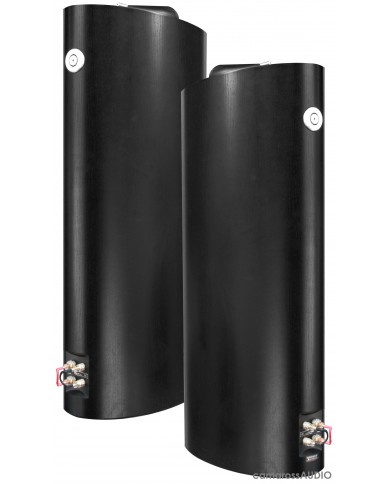 Bowers & Wilkins 803S Rear