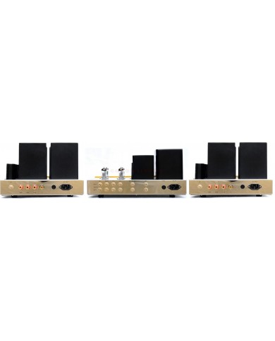 Antique Sound Lab AQ 2001 Pre AQ 1009 Power Amplifier