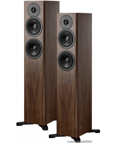Dynaudio Evoke 30 Walnut Dynaudio Evoke 30 Walnut