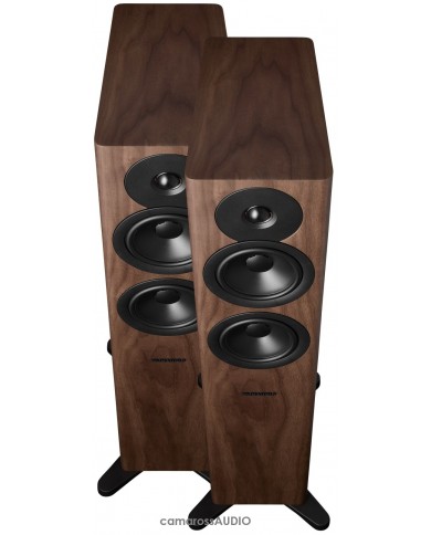 Dynaudio Evoke 30 Walnut Dynaudio Evoke 30 Walnut