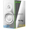 Dynaudio Special Forty Dimensions