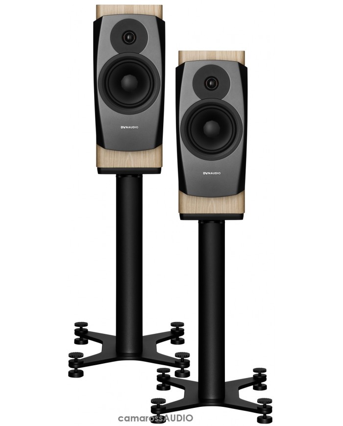 Dynaudio Confidence 20 blonde wood