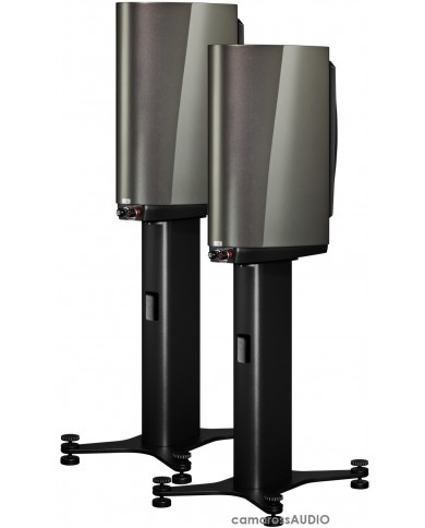 Dynaudio Confidence 20 smoke Dynaudio Confidence 20 smoke