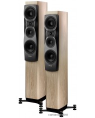 Dynaudio Confidence 30 blonde wood