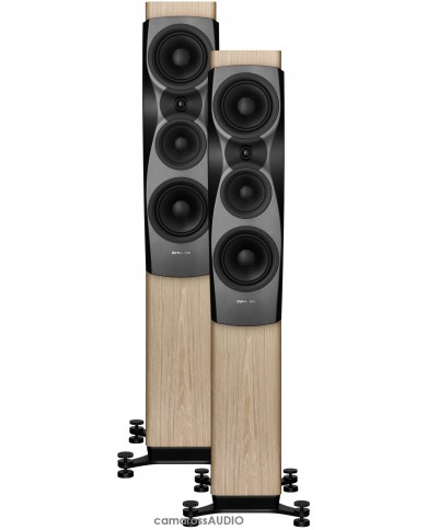 Dynaudio Confidence 30 blonde wood