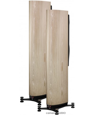 Dynaudio Confidence 30 blonde wood Dynaudio Confidence 30 blonde wood