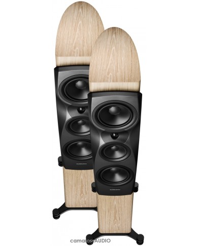 Dynaudio Confidence 30 blonde wood Dynaudio Confidence 30 blonde wood