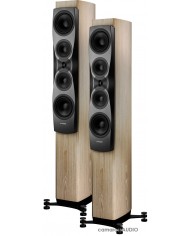 Dynaudio Confidence 50 blonde wood