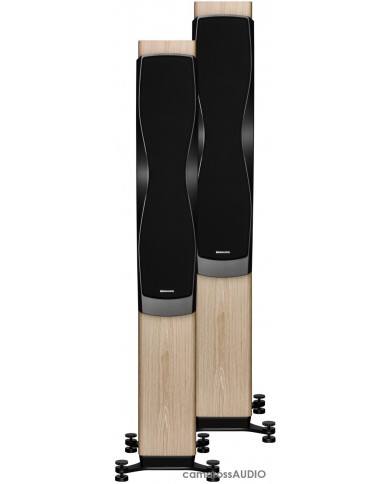 Dynaudio Confidence 50 blonde wood Dynaudio Confidence 50 blonde wood