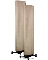 Dynaudio Confidence 50 blonde wood