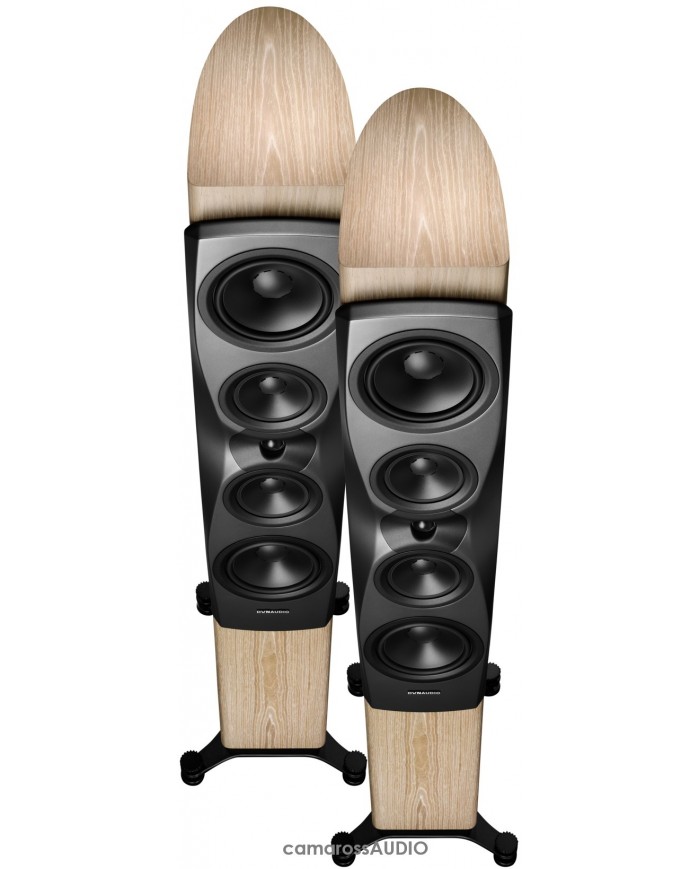 Dynaudio Confidence 50 blonde wood