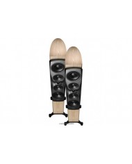 Dynaudio Confidence 50 blonde wood