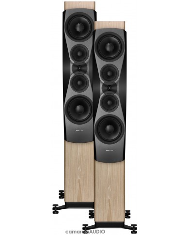 Dynaudio Confidence 60 blonde wood