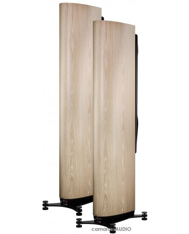 Dynaudio Confidence 60 blonde wood Dynaudio Confidence 60 blonde wood