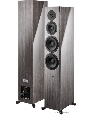 Dynaudio Focus 60 XD grey oak Dynaudio Focus 60 XD grey oak