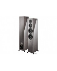 Dynaudio Focus 60 XD grey oak