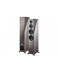 Dynaudio Focus 60 XD grey oak