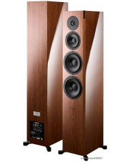 Dynaudio Focus 60 XD walnut