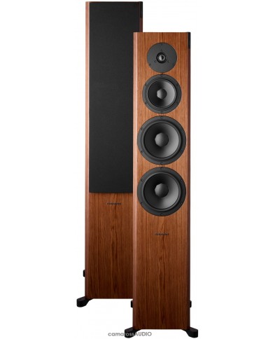 Dynaudio Focus 60 XD walnut