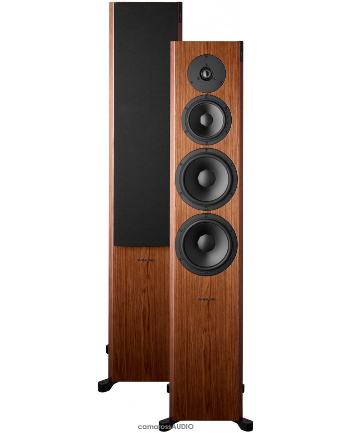 Dynaudio Focus 60 XD walnut