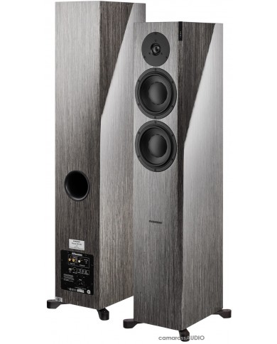 Dynaudio Focus 30 XD grey oak Dynaudio Focus 30 XD grey oak