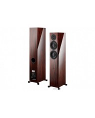 Dynaudio Focus 30 XD rosewood