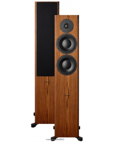 Dynaudio Focus 30 XD walnut