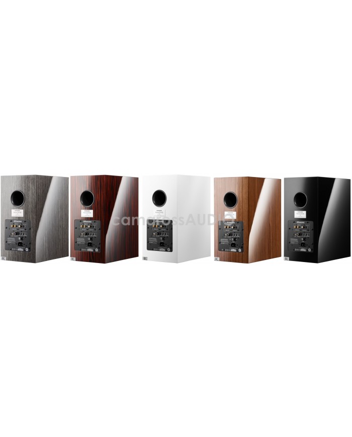 Dynaudio Focus 20 XD