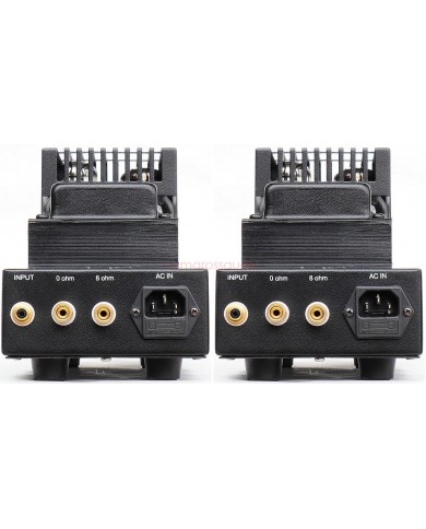 Antique Sound Labs AV-20 Monoblock Power T2 Passive PreAmplifier