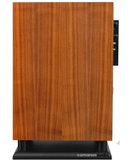 Chario Syntar 501 ( SW1 ) Subwoofer