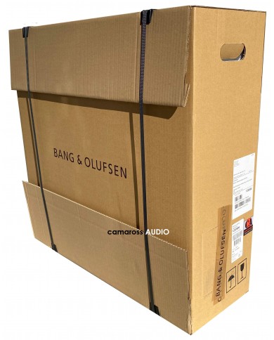 Bang&Olufsen BeoPlay A9 box Bang&Olufsen BeoPlay A9 box