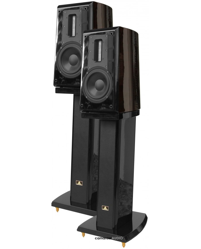 Aurum Cantus V3M Aurum Cantus V3M