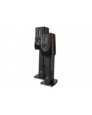 Aurum Cantus V3M Aurum Cantus V3M