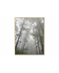 Energy Sistem Frame Speaker Forest