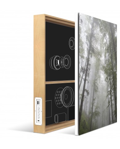 Energy Sistem Frame Speaker Forest
