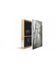 Energy Sistem Frame Speaker Forest