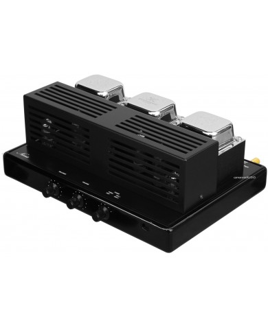 Synthesis Nimis RC Integrated Amplifier