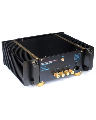AM Audio AM2 Reference Mono Power Amplifier