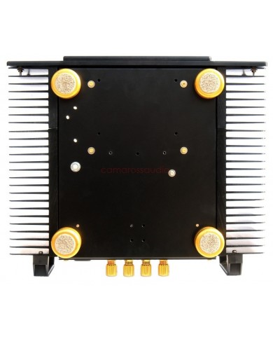 AM Audio AM2 Reference Mono Power Amplifier