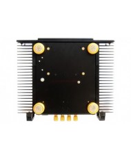 AM Audio AM2 Reference Mono Power Amplifier, siyah, altın ayaklı, soğutuculu, hi-fi ses amplifikatörü
